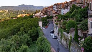 Sınıflandırılmamış resim, 16 üzerinden 5, düğme