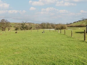 Property grounds - Dylan's Court, Laugharne (Laugharne)