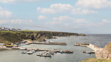 Jachthaven