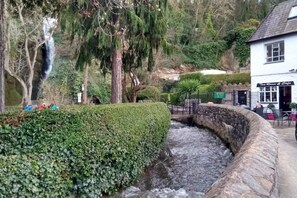 Property grounds - Charming Waterfall Cottage Retreat (Rhyl)