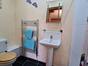 Shower - Puffin Cottage, Llanboidy (Whitland)