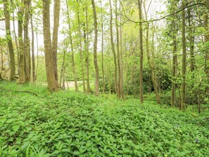 Property grounds - Brampton, Appleby-In-Westmorland (Appleby-in-Westmorland)