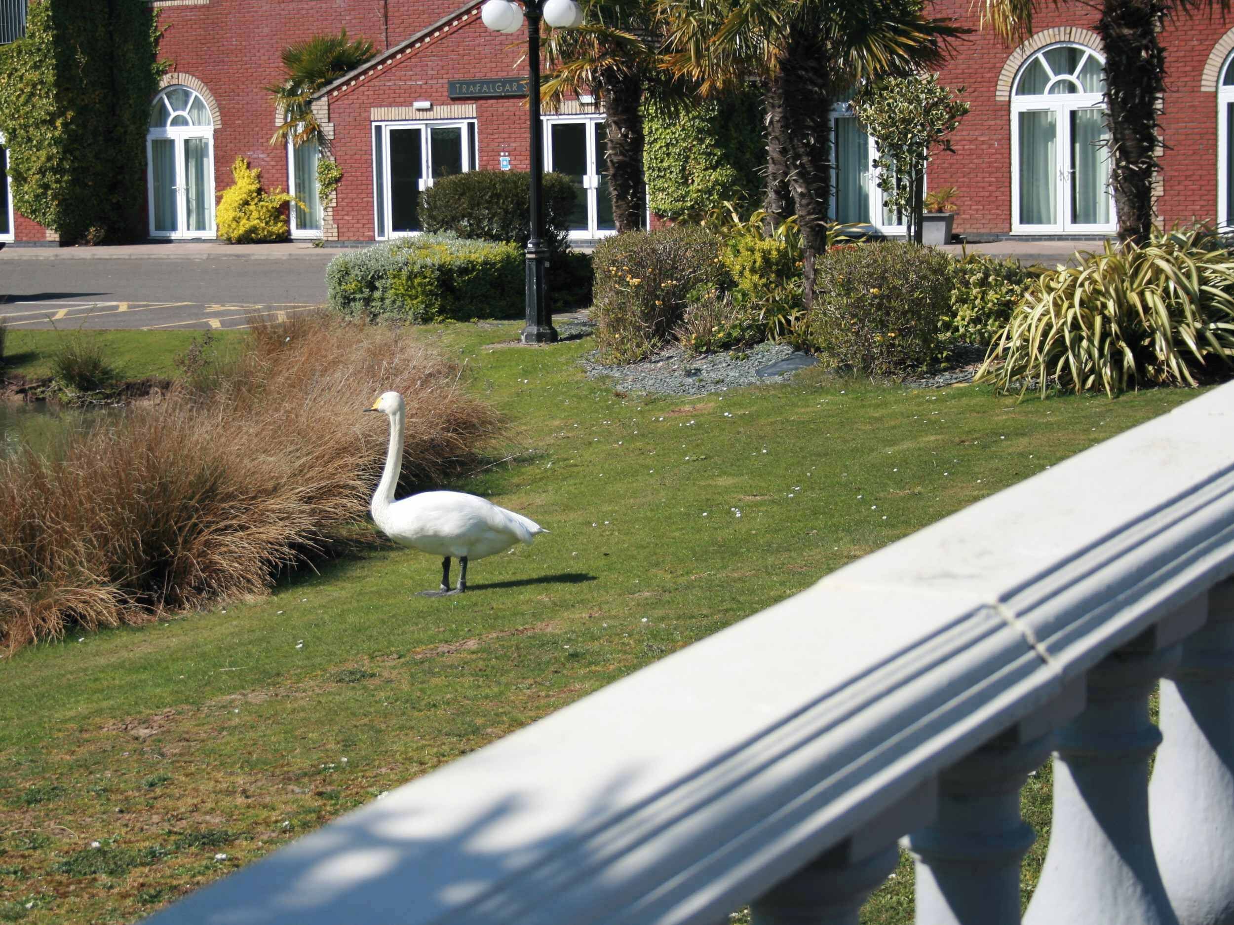 Terrein van de accommodatie