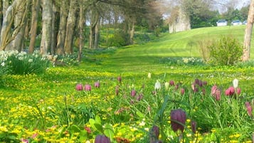 Overnattingsstedets uteområder