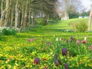 Terrein van de accommodatie