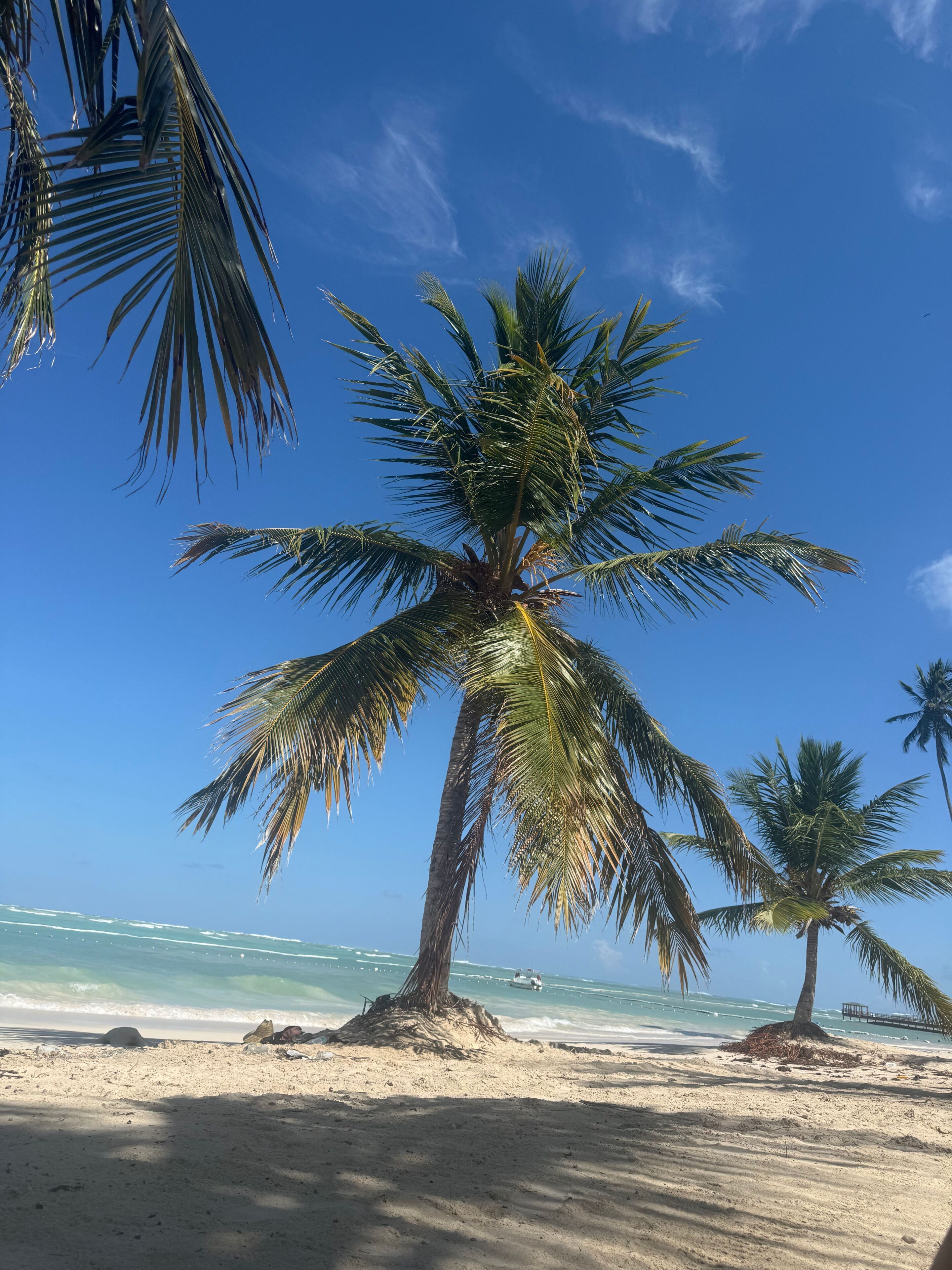Villa, 2 chambres, fumeur, piscine privée | Plage