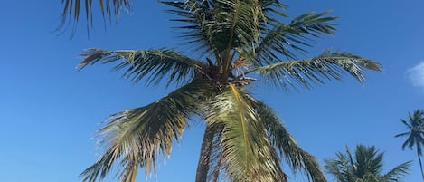 Villa, 2 Bedrooms, Smoking, Private Pool | Beach