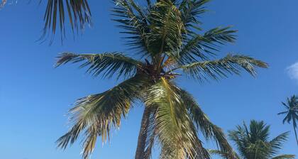 Modern Villa With Private Pool and Starlink Wifi El Macao Punta Cana Area