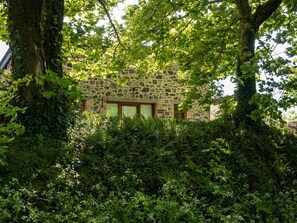 Ein Steinhaus mit Fenster und Tür, umgeben von dichtem Grün.