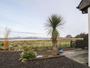 A garden with a tall palm-like plant, a wooden bench, and a view of distant mountains.