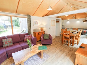 Fireplace - Lodge 22, Corfe Castle (Wareham)
