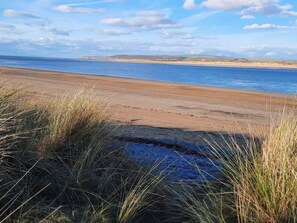 Beach - Mulberry Tree, Appledore Devon (Bideford)
