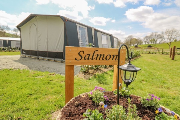 The Salmon