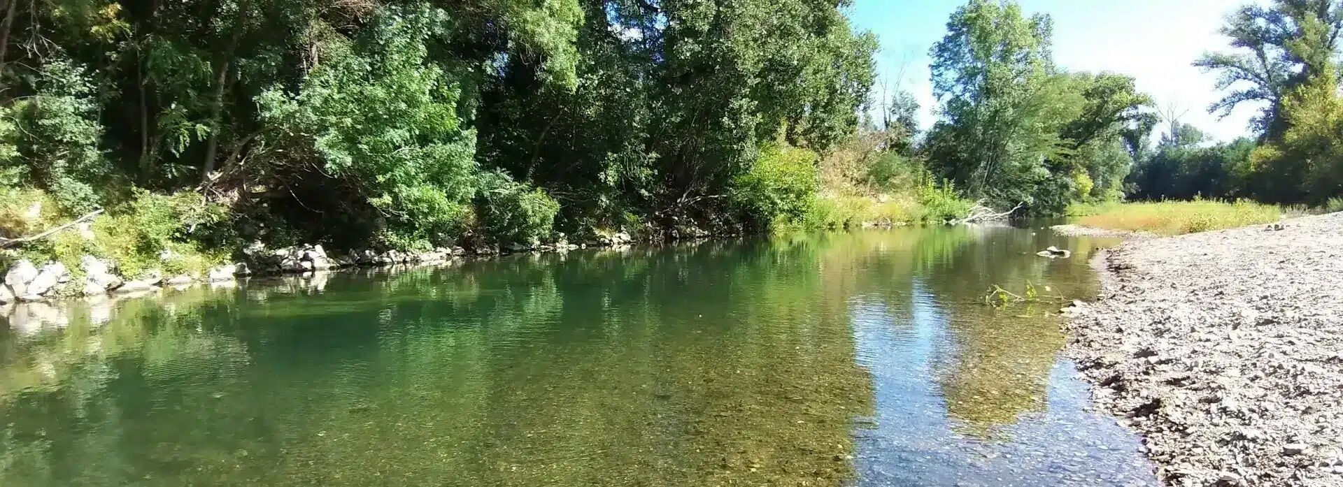 Um rio de águas cristalinas cercado por árvores verdes e densas.