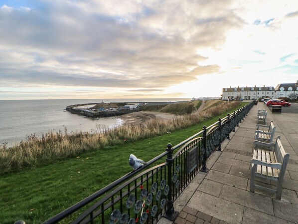 المنطقة المحيطة بالمنشأة