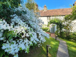 Property grounds - Cherry Cottage, Crowborough (Crowborough)