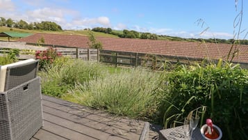 Terras