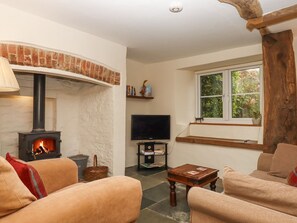 Fireplace - The Old Dairy nr Sourton Down. (Okehampton)