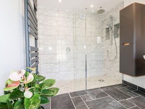 Shower - Charming Kelyow in St Day, Cornwall (Redruth)