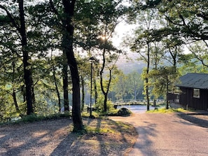 A forested area with a gravel path leading to a wooden cabin. - Lodge 47 - Primrose Lodge, Chudleigh (Newton Abbot)