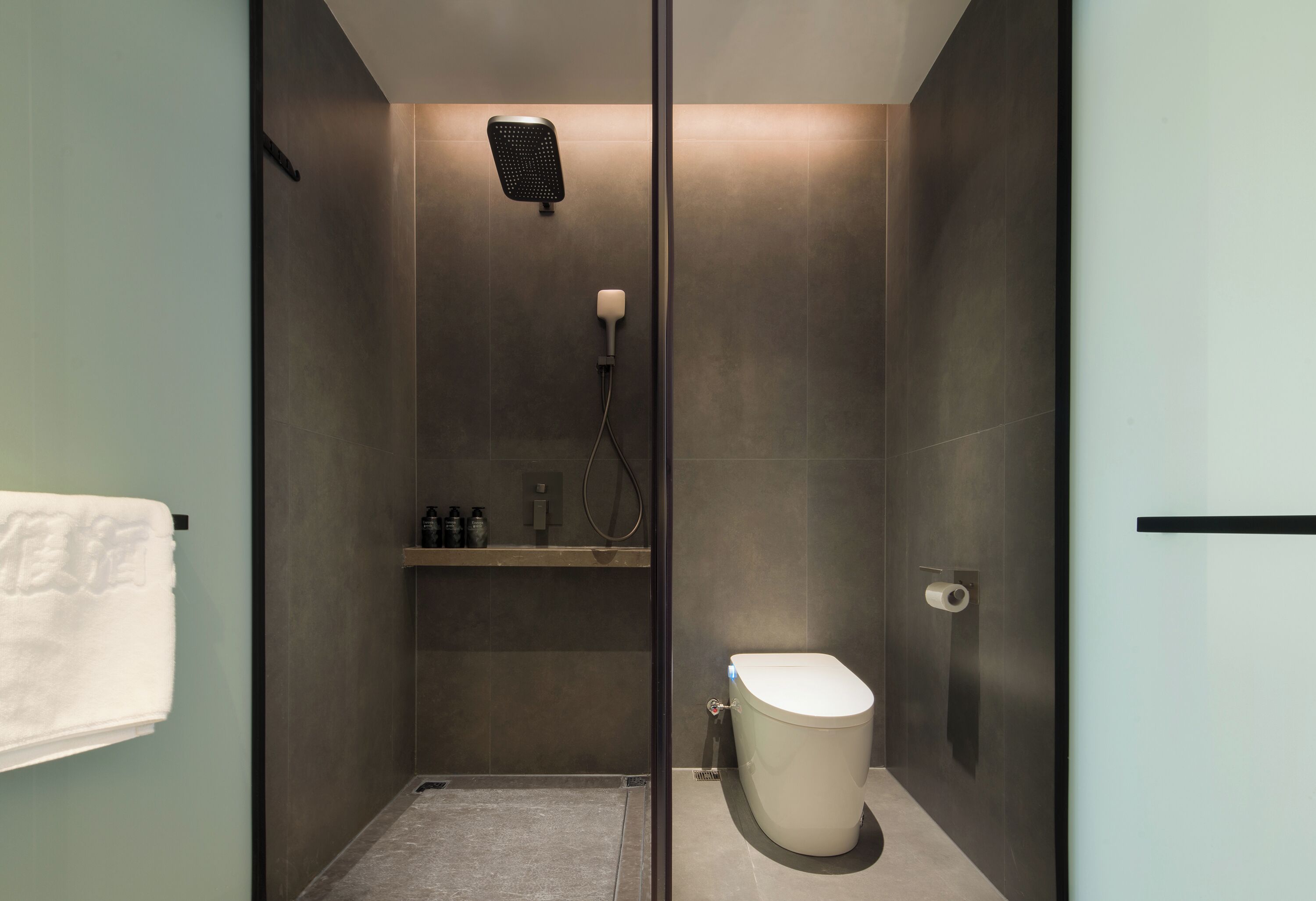 Une salle de bain moderne avec une douche à parois de verre, des toilettes et un porte-serviettes.