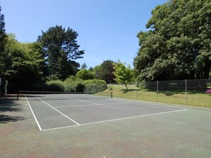 Terrain de sport