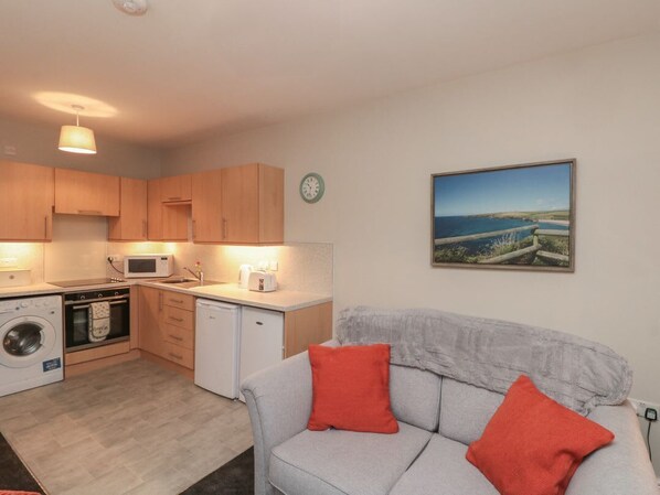 A compact living space with a kitchenette, a washing machine, a small refrigerator, a grey sofa with red cushions, and a painting of a coastal landscape on the wall.