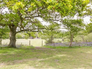 Terrain de l’hébergement 