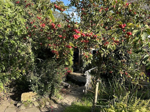 Un jardin avec un sentier en pierre, une végétation luxuriante et une structure en pierre rustique.