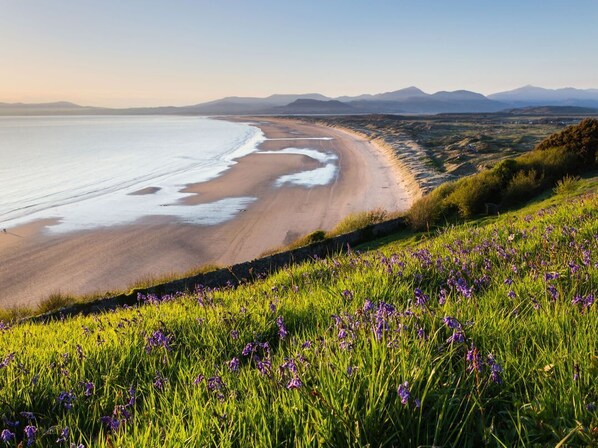 Un paysage côtier avec une plage, un premier plan herbeux et des montagnes à l’horizon.