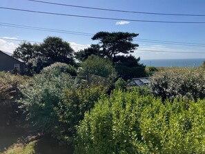 Ein Wohngebiet mit einem Haus, dichter Bepflanzung und freiem Blick auf das Meer.