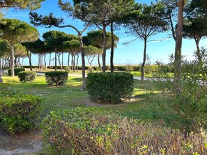 Property grounds - Studio cabin terrace facing sea - 4 guests (Argelès-sur-Mer)