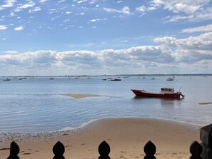 Beach - Villa with pool, pets allowed - 8 guests (Lège-Cap-Ferret)