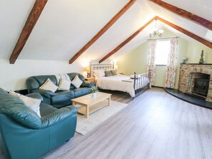 Fireplace - Loft apartment, Llandysul, Wales. (Llandysul)