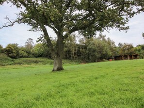 Property grounds - Brynallt Country Park, Ellesmere (Ellesmere)