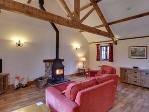 Fireplace - Woodpecker Cottage, Bradworthy (Holsworthy)