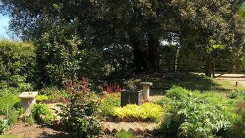 Terrain de l’hébergement