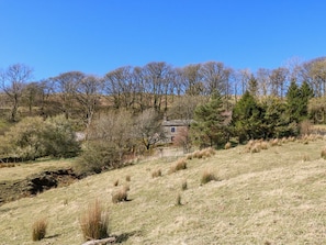 Property grounds - Sycamore Tree Farm, Ravenstonedale (Kirkby Stephen)