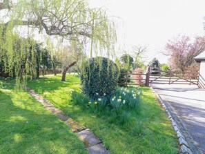 Ein Garten mit einem Kiesweg, einer Trauerweide und einer Hecke mit Narzissen.