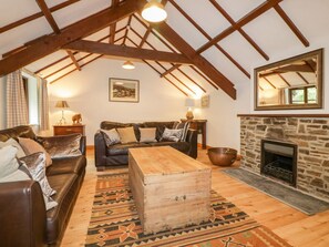 Fireplace - Ribby Barn, Lerryn, Cornwall (Lostwithiel)