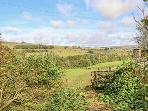 Property grounds - Horsley Hall, Eastgate (Bishop Auckland)