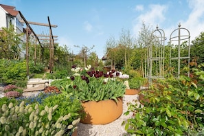 Een tuin met diverse planten en bloemen, een houten pergola en een metalen klimrek.