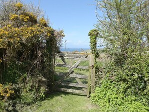 Property grounds - Threshings Cottage, Tintagel (Tintagel)