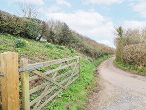 Property grounds - Fig Cottage, Brighstone (Newport)