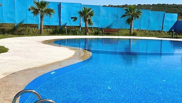 Una piscina azul cristalina con borde curvo, escalera metálica y palmeras al fondo.