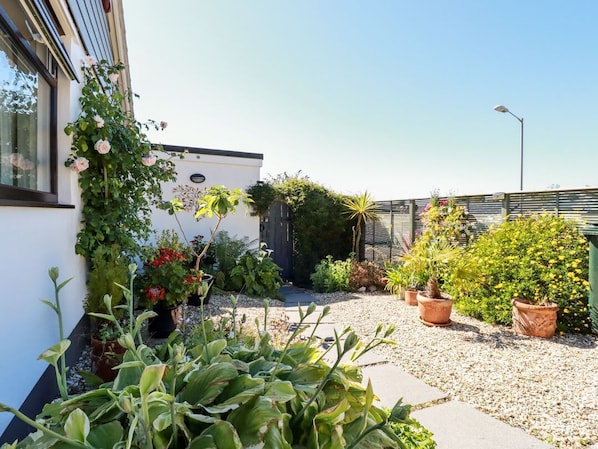 Un jardin sur le toit, avec des plantes en pot, un petit arbre et un bâtiment doté d’une fenêtre.
