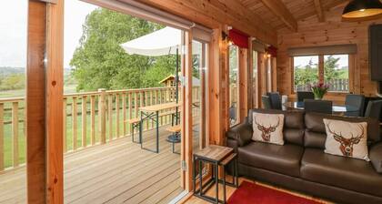 Sunnyside Lodge: A Dog-Friendly Retreat