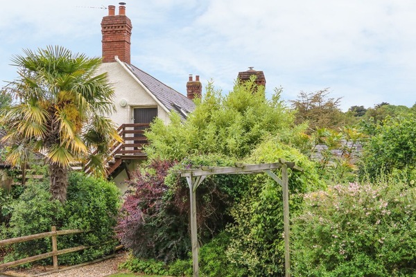 Fig Trees - Wibble Farm