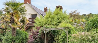 Fig Trees - Wibble Farm, Williton