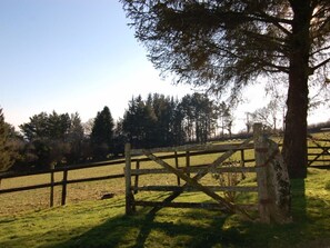 Property grounds - Forestoke Linhay, Ashburton (Holne)